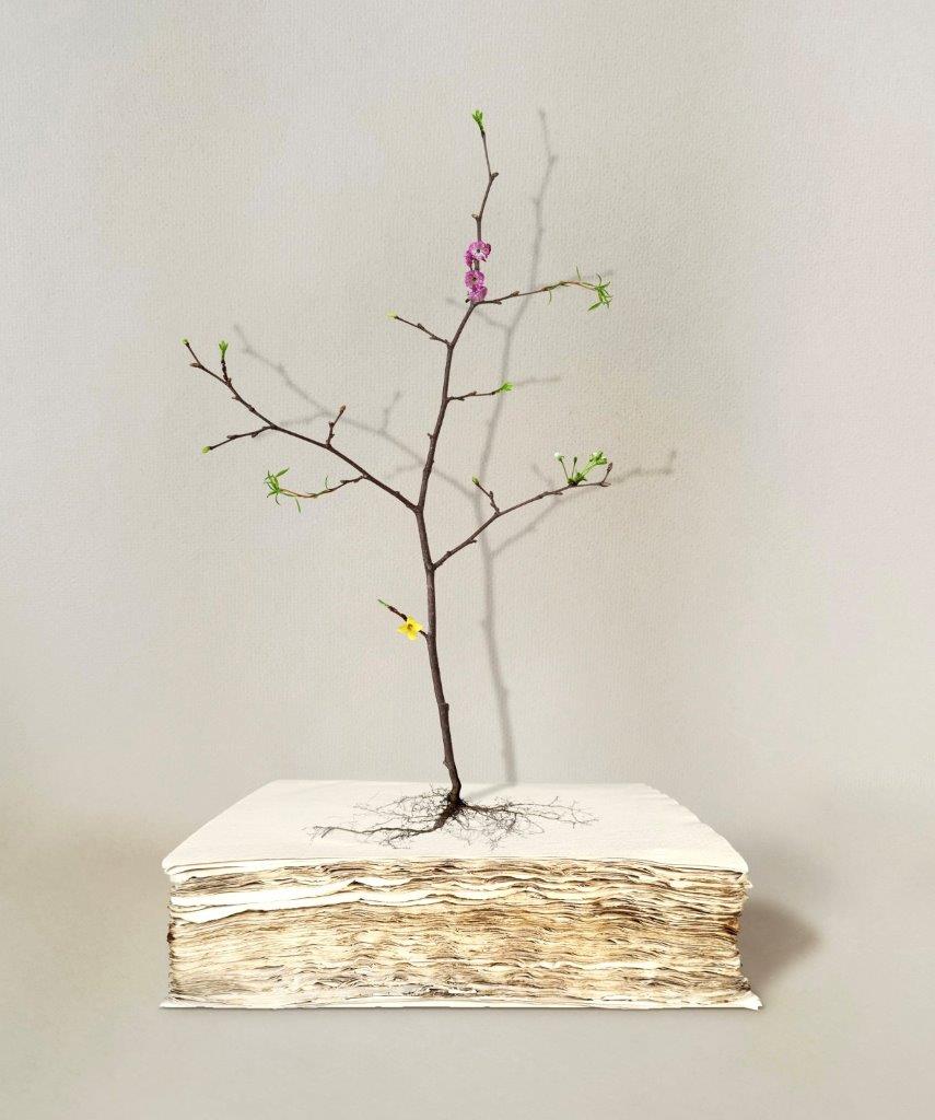 Growth